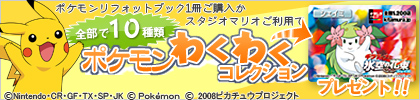 ポケモンわくわくコレクションプレゼント！