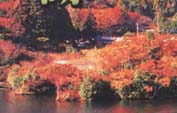 北海道・各地の紅葉まつり