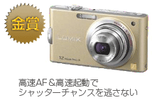 金賞　LUMIX DMC-FX60