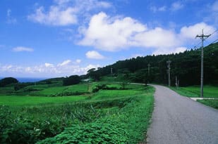 「能登のステキ写真」フォトコンテスト 発表 佳作 夏休み