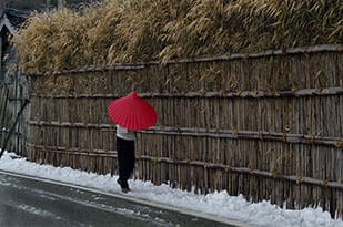 「能登のステキ写真」フォトコンテスト 発表 佳作 雪囲い