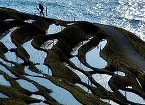 「能登のステキ写真」フォトコンテスト 棚田を見張る