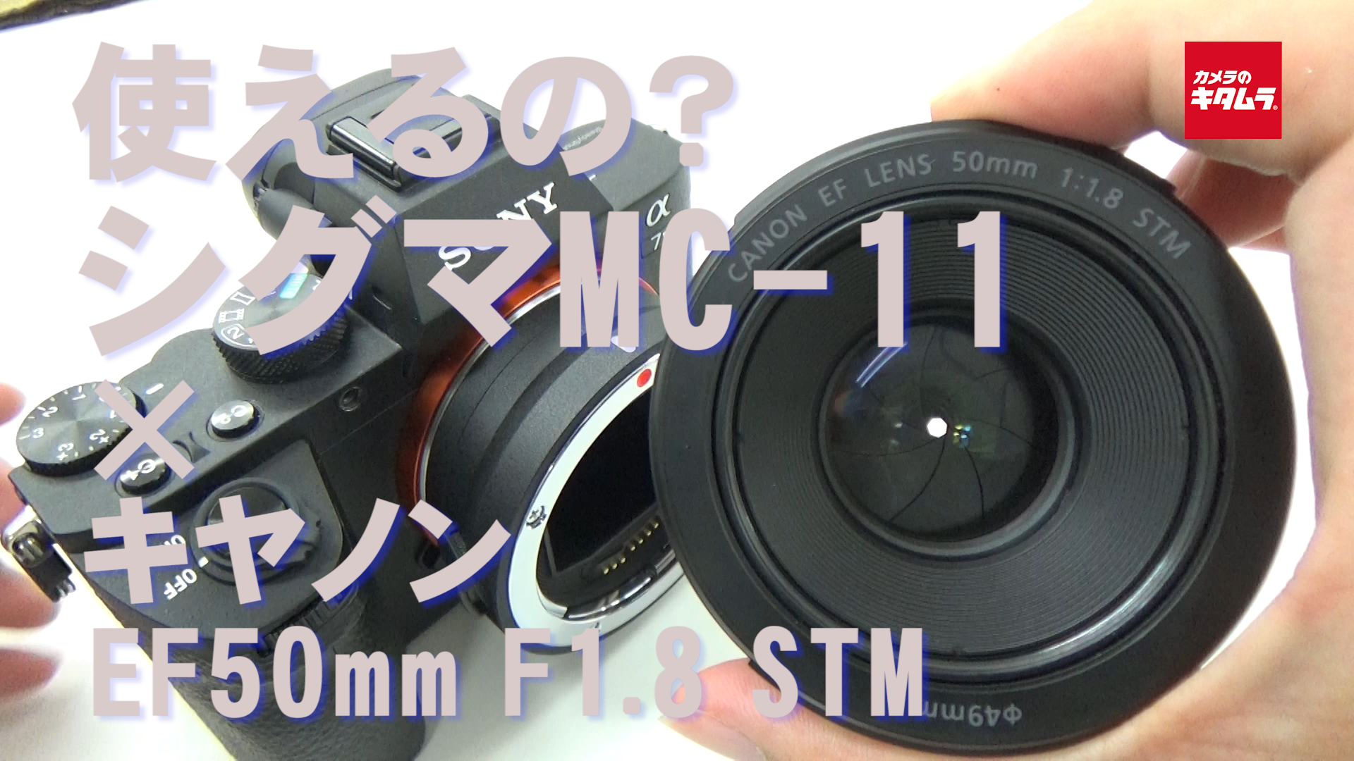 Canon 50mm f1.8 stm Sigma MC-11セットスマホ/家電/カメラ - レンズ ...