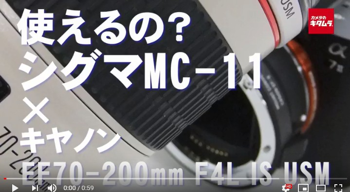 使えるの？】シグママウントアダプターMC-11でキヤノン EF70-200mm F4L