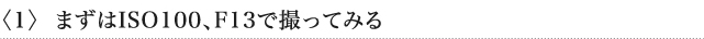 〈1〉 まずはISO100、F13で撮ってみる