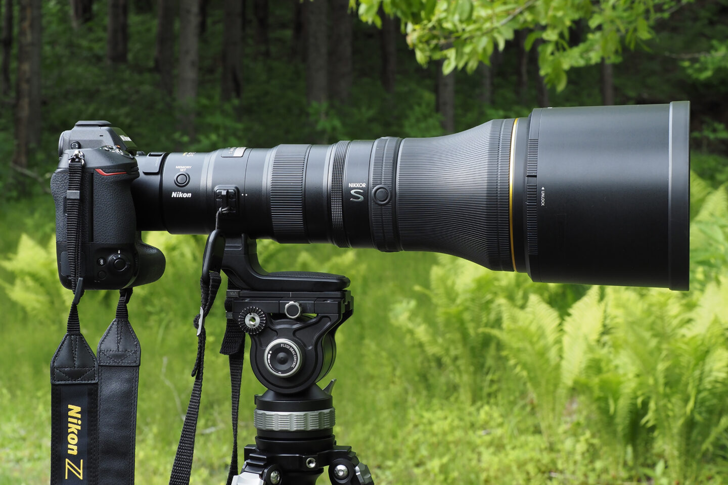 ニコン NIKKOR Z 800mm f/6.3 VR S レビュー｜野鳥撮影の標準レンズ ...