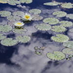 風景写真をビフォー・アフターで学ぶ｜その6：雨編