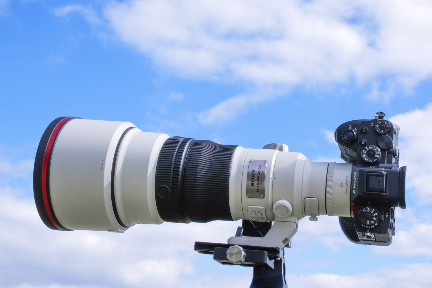 ソニー FE 300mm F2.8 GM OSS レビュー｜高い解像度と圧倒的な軽さを誇るサンニッパ