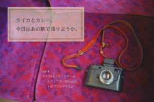 ライカとカレー。今日はあの駅で降りようか。Vol.14｜ライカM11モノクローム ＋ ズミクロン 50mmf2 ＋ ビゾフレックス2