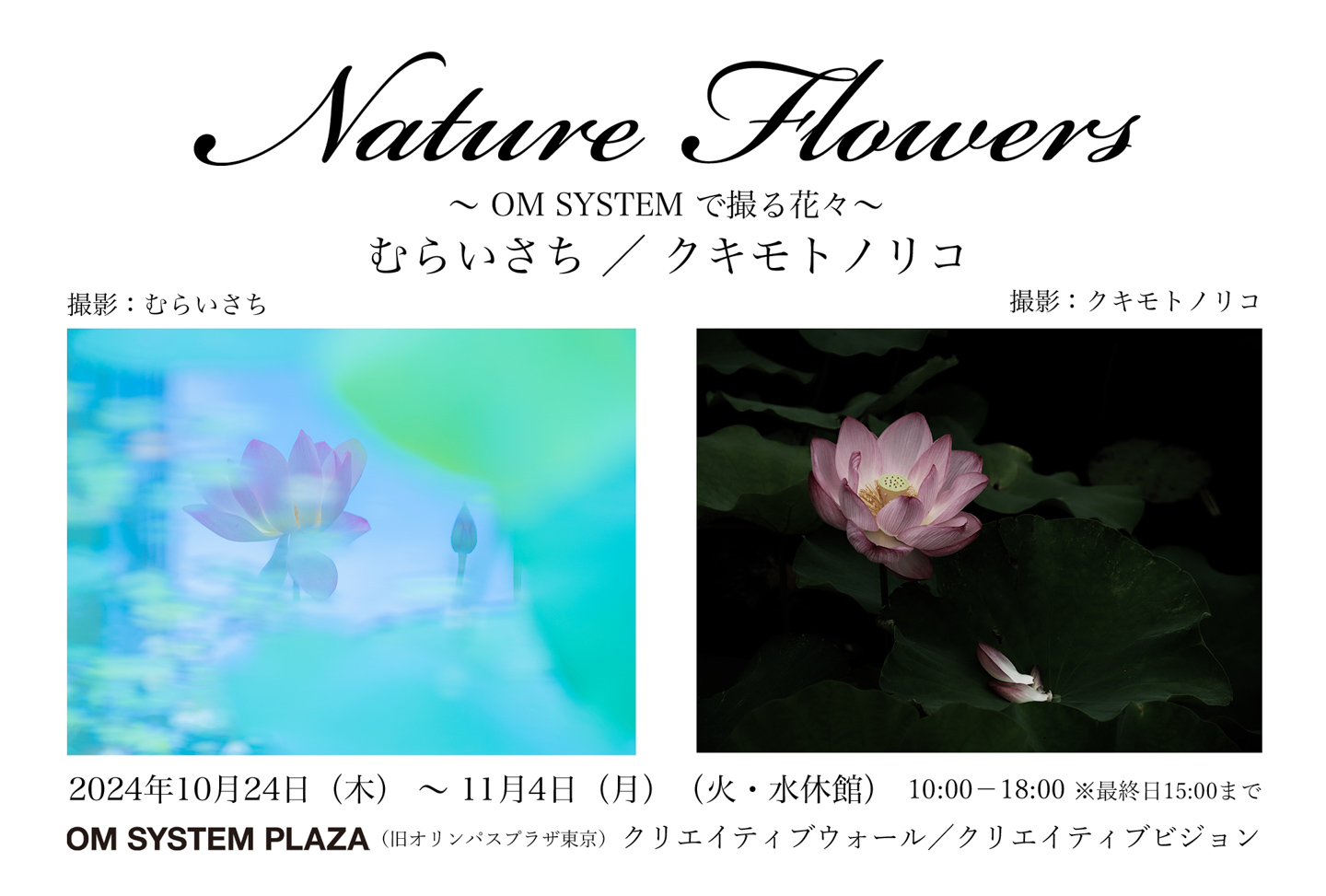 むらいさち × クキモトノリコ 写真展「Nature Flowers」 2024年10月24日～11月4日＠OM SYSTEM PLAZA