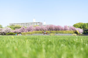 出会いは一期一会。スナップで桜の表情を楽しむ方法｜金森玲奈