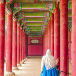 パナソニック LUMIX S1II レビュー｜葛原よしひろ