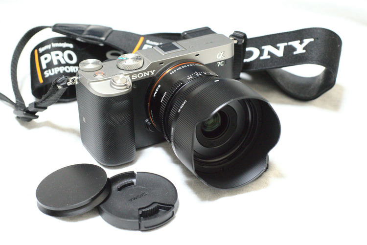 SIGMA 24mm F3.5 DG DN SONY Eマウント用 - レンズ(単焦点)