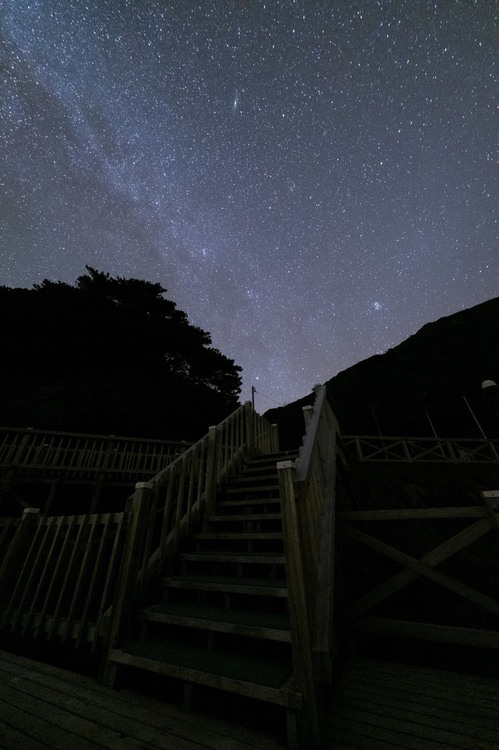 富士フイルム X-S10の星空特性を検証！星空撮影に役立つ機能も紹介